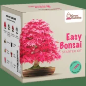 Grow Buddha Začetni set za gojenje Bonsaja, 4 vrste + 2 vrsti semen gratis