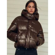 Bershka Zimska jakna rjava