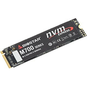 SSD M.2 NVMe 256GB Biostar M720 3350MBs1300MBs