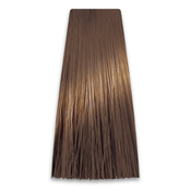 Farba za Kosu COLORART 8/13 PROSALON | Farbe i Kolor Šamponi | Boja i Nega Kose | Kozmo Shop Online