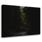 shumee Platno Narava Gorska cesta 70x50 cm