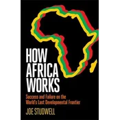 How Africa Works