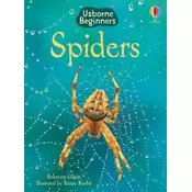 Spiders