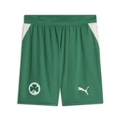 PUMA Greuther Fürth 26/27 Shorts Men, Sport, Power Green/Sugared Almond, L