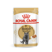 Royal Canin British Shorthair Adult - mokra prehrana za Britansku kratkodlaku odraslu macku 12 x 85 g