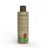 Ecolitier vlažilni in krepilni šampon za lase z organsko alojo 250 ml