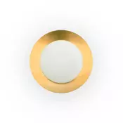 TUJA LED ČRNO-ZLATA STROPNA SVETILKA 20W 3000K FR62146