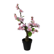 Veštacka Biljka Kirschblütenbonsai