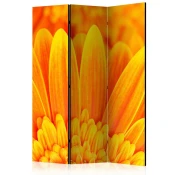 artgeist Paravan Yellow Garbera Daisies, 3-Delni, Dvostranski