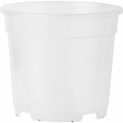 Posoda za orhideje - 13 cm, 1 l, prozorna