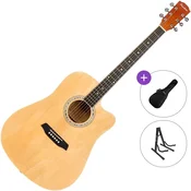 Pasadena PDC-10 Standard SET Natural Akusticna gitara