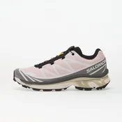Sneakers Salomon XT-6 Cloudburst/ Icy Pink/ Tapioca EUR 42 2/3