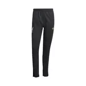 ADIDAS PERFORMANCE Sportske hlace crna