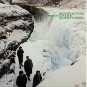Echo & The Bunnymen Porcupine (LP) 180 g