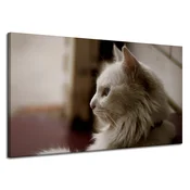 shumee Platno s tiskom Živali Bela mačka 120x70 cm