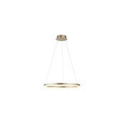 Paul Neuhaus 2382-60 - LED Prigušivi luster na sajli TITUS LED/38,5W/230V