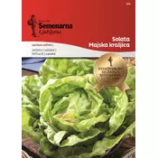 Seme solata Majska kraljica
