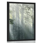 Plakat sončni žarki v meglenem gozdu - 30x45 black
