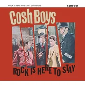 The Cosh Boys - Rock Is Here To Stay (LP)