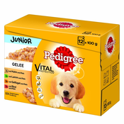 Multi pakiranje Pedigree Junior vrećice za pse - 24 x 100 g