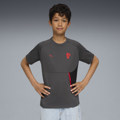 AC Milan PumaTECH Pocket Tee Youth, Gray, Size 5-6Y, Clothing