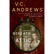 Beneath the Attic