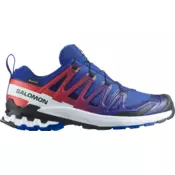 Salomon Trail copati XA PRO 3D V9 GTX EQUIPE