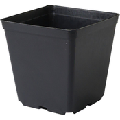 Cvetlični lonček - posoda, trda plastika 13x13x13 cm - 10 kosov