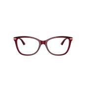 Jimmy Choo Naocare JC 3007HB 5062