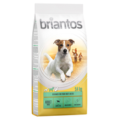 Briantos Adult Mini jagnjetina & riž - Varčno pakiranje: 2 x 14 kg