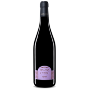 Masciarelli Vino Syrah Colline Pescaresi IGT Marina Cvetič 2019 0,75 l