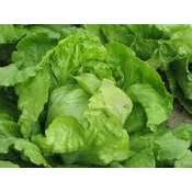 SOLATA POSAVKA BIG PACK 15gr
