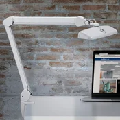 MAULintro LED delovna svetilka, bela, 52 cm, podstavek s sponko - Študija/pisarna - Kovina