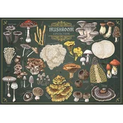 Trefl - Puzzle Premium Plus Finders Keepers: Gobe - 500 kosov