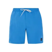 Mens beach shorts Protest PRTBAKY