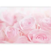 artgeist Fototapeta Ocean Of Roses, 400x280cm