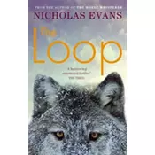 The Loop