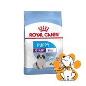 Royal Canin SHN Giant Puppy, 15kg, Granule Za Štence Gigantskih Rasa