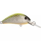 Rapture EVOQUE 40mm 3.5gr YNC