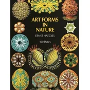 Art Forms in Nature