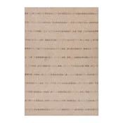 Homestar Preproga DAWN FOAM-4 80x300 cm