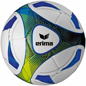Erima Žoga erima hybrid training