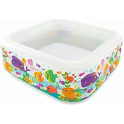 Intex Clearview Aquarium Pool