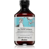 Davines Naturaltech Well-Being šampon za sve tipove kose 250 ml