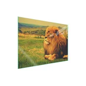 shumee Steklena zaščitna plošča za štedilnik 70x52 Lion