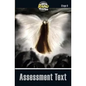 RapidPlus Assessment Book Stage 9