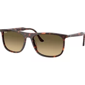 Ray-Ban Naocare za sunce RB 2216 14290A