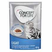 12x85 g Concept for Life po posebni ceni! - Light Cats v omaki