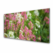 tulup.si Slika na akrilnem steklu Cvetje wildflowers travnik narava 100x50 cm 2 obešalnika