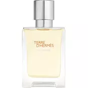 HERMES Terre d’Hermes Eau Givrée parfemska voda za muškarce 50 ml